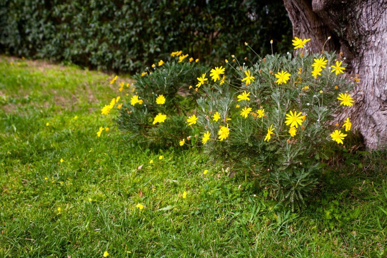 La Casa di Caterina: Nature,Relax&Private Garden Lefkáda Exterior foto