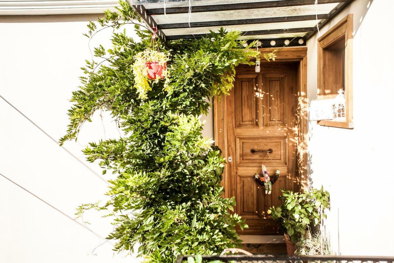 La Casa di Caterina: Nature,Relax&Private Garden Lefkáda Exterior foto